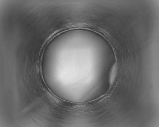 X0000056031212200508190943
