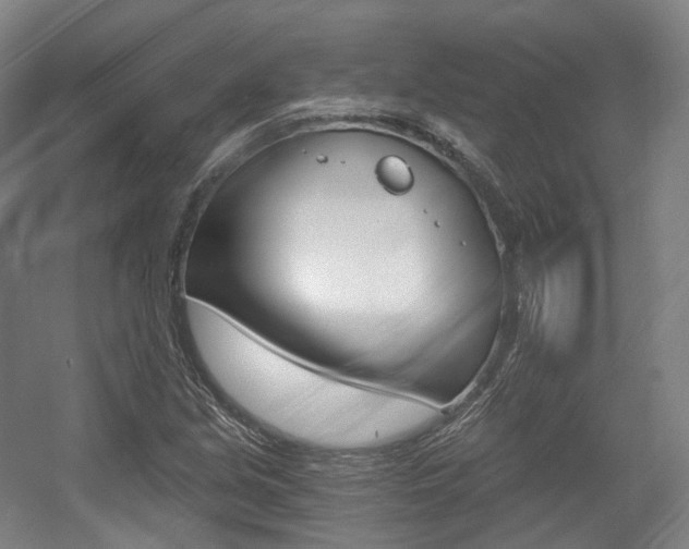 X0000056031213200508190943