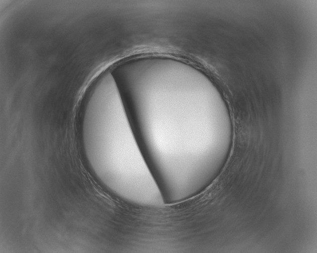 X0000056031215200508190943