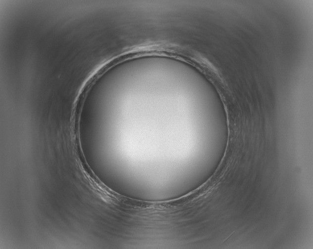 X0000056031216200508190943