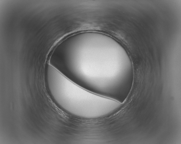 X0000056031220200508190943