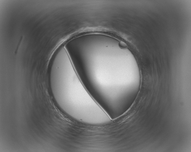 X0000056031221200508190943