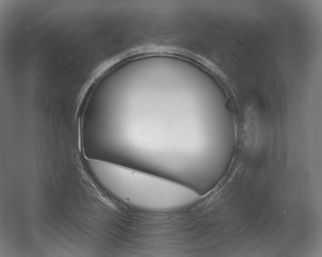 X0000056031223200508190943