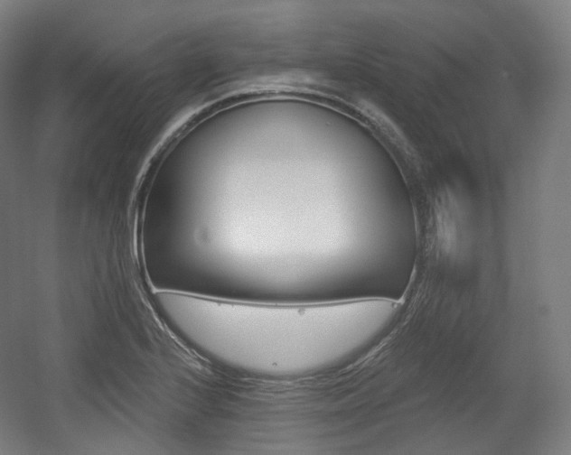 X0000056031224200508190943