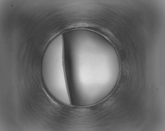 X0000056031225200508190943