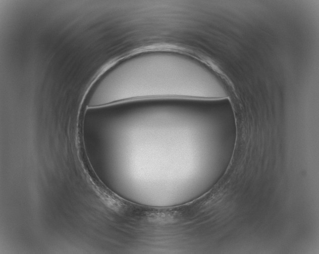 X0000056031229200508190944