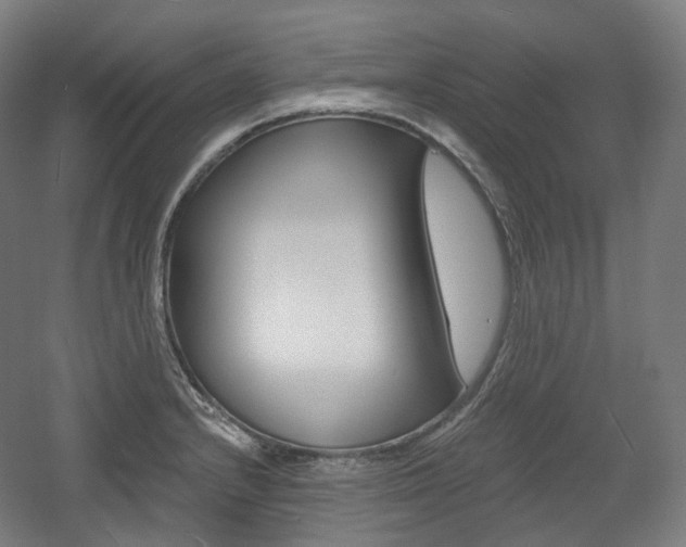 X0000056031232200508190944