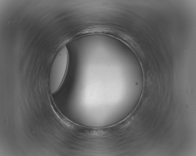 X0000056031233200508190944