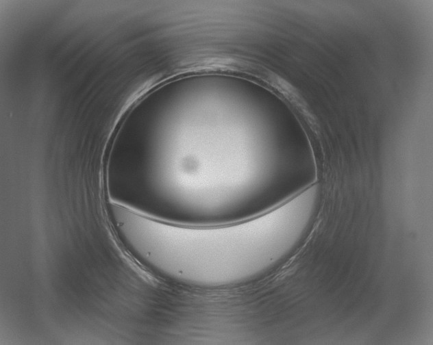 X0000056031234200508190944