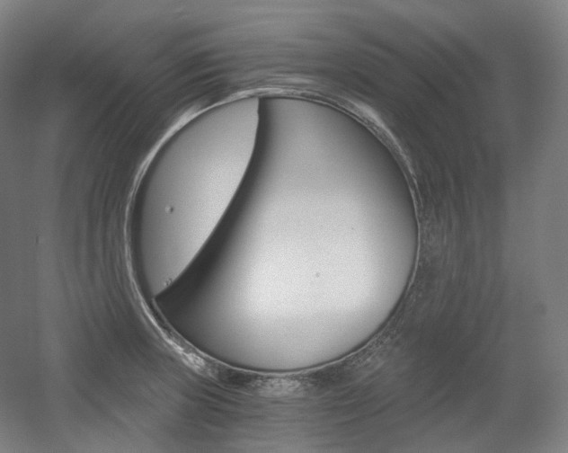 X0000056031235200508190944