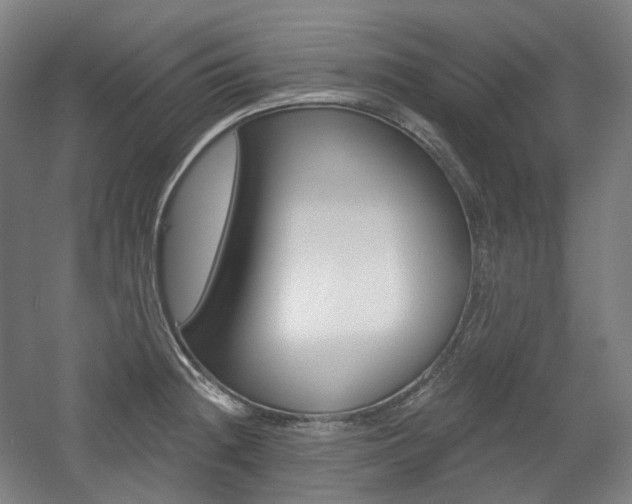 X0000056031236200508190944