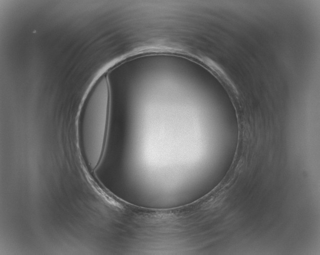 X0000056031238200508190944