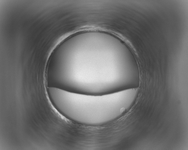 X0000056031239200508190944