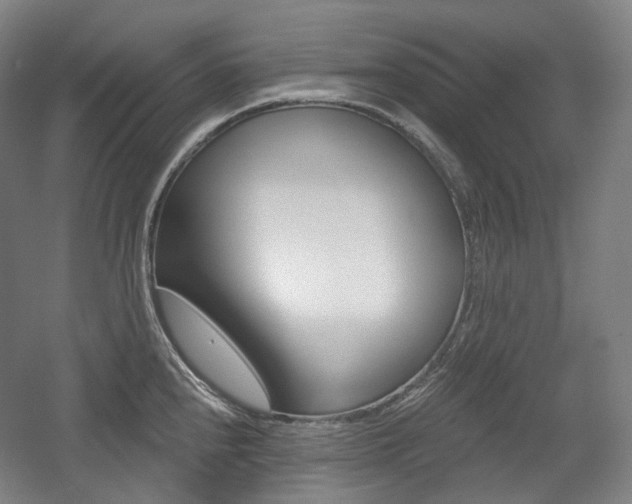 X0000056031240200508190944