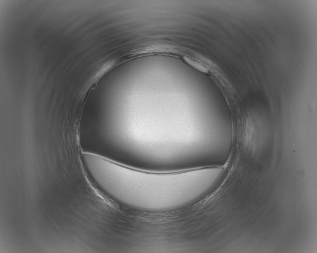 X0000056031241200508190944