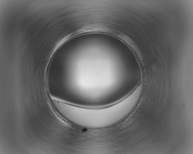 X0000056031242200508190944