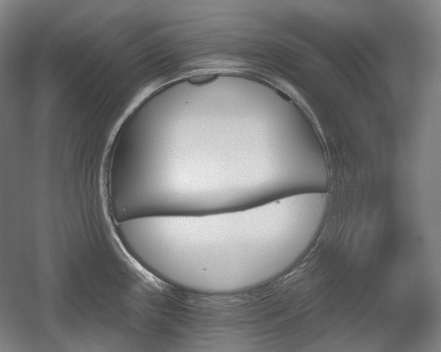 X0000056031243200508190944
