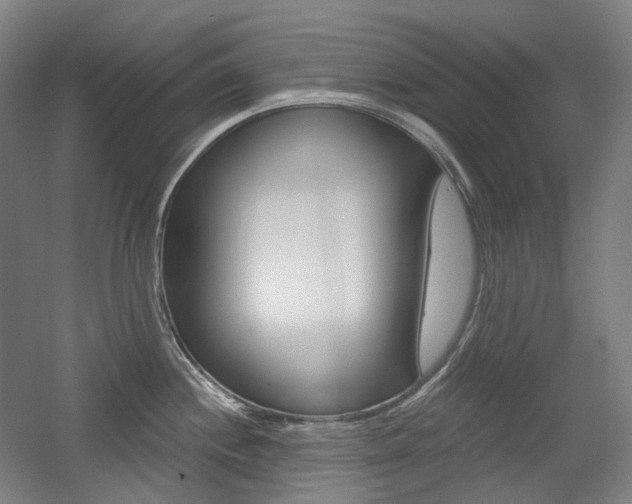 X0000056031244200508190944