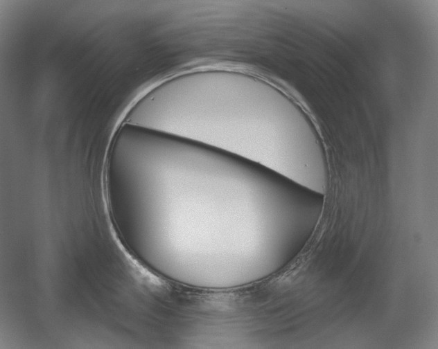 X0000056031247200508190944