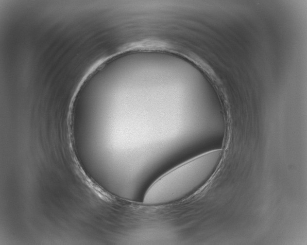X0000056031248200508190944