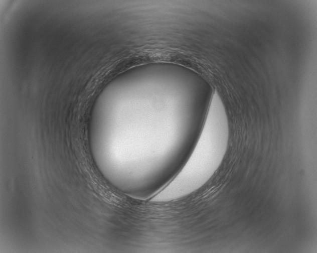 X0000056031249200508190943