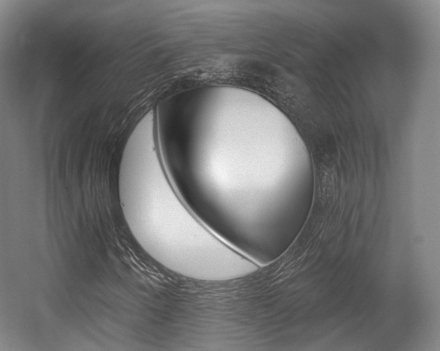X0000056031250200508190943
