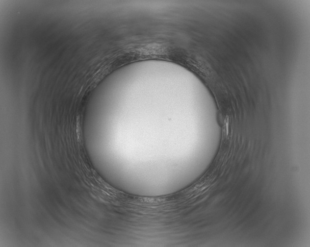 X0000056031251200508190943