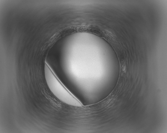 X0000056031252200508190943