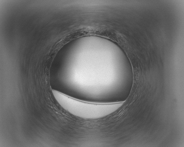 X0000056031253200508190943