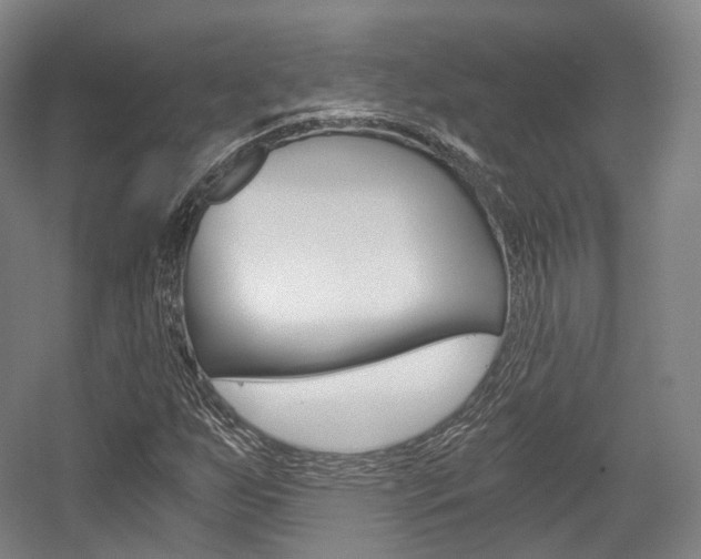 X0000056031255200508190943