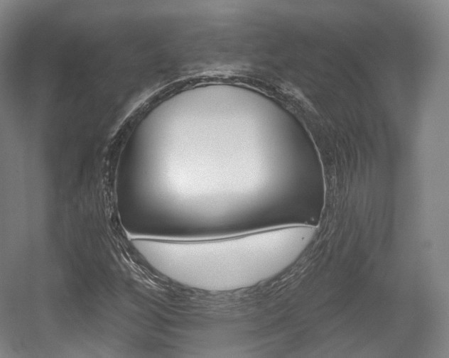 X0000056031256200508190943