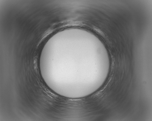 X0000056031258200508190943