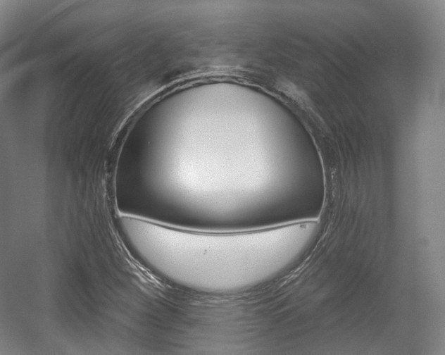 X0000056031260200508190943