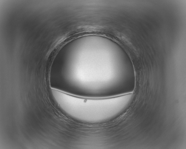 X0000056031261200508190943