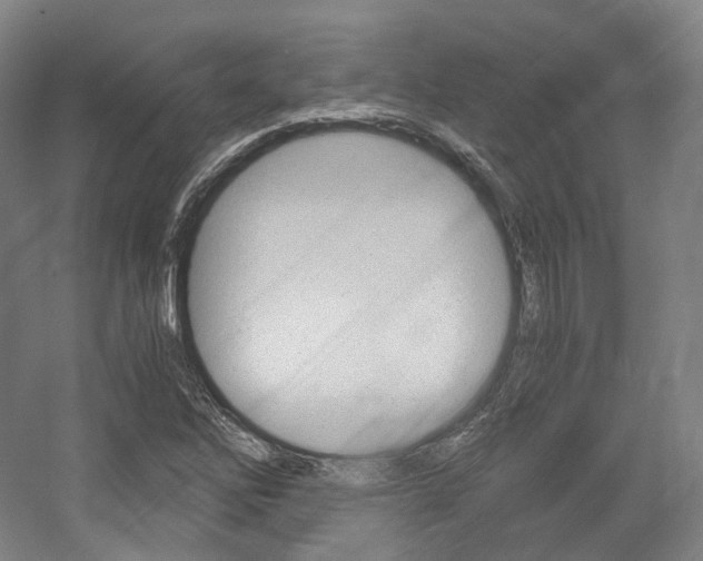 X0000056031262200508190943