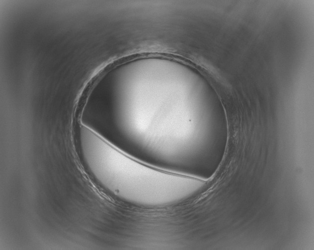 X0000056031264200508190943