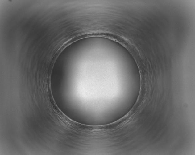 X0000056031265200508190943