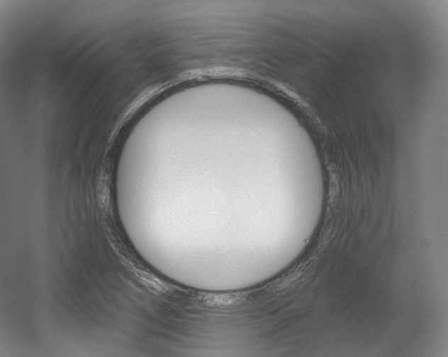 X0000056031266200508190943