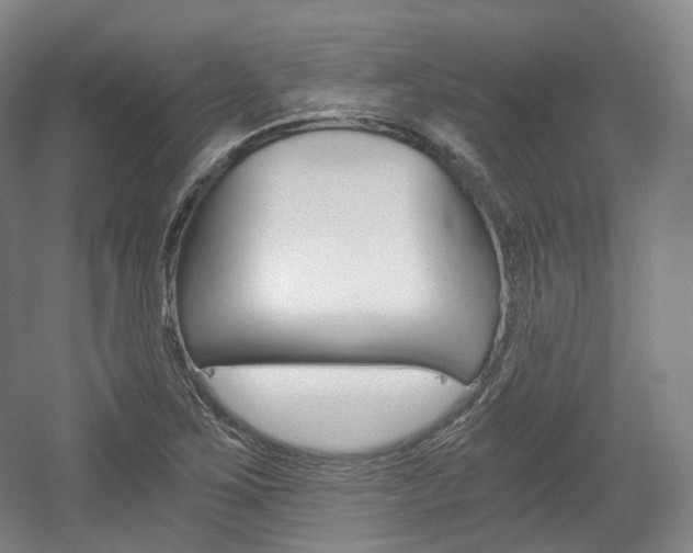 X0000056031267200508190943