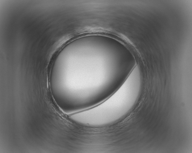 X0000056031269200508190943