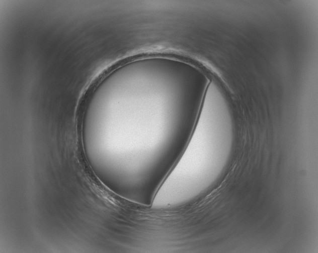 X0000056031270200508190943