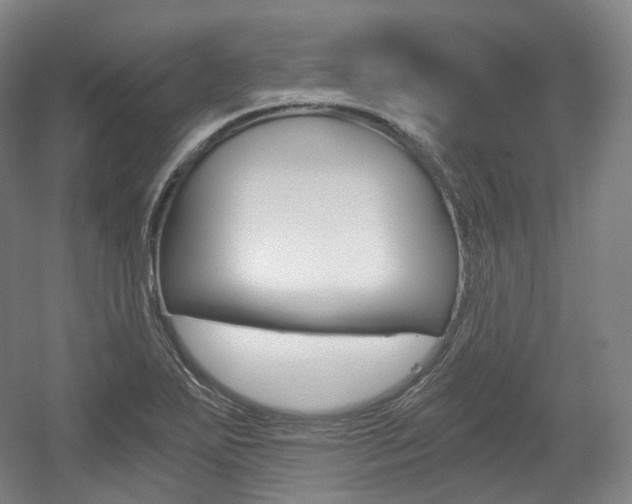 X0000056031271200508190943