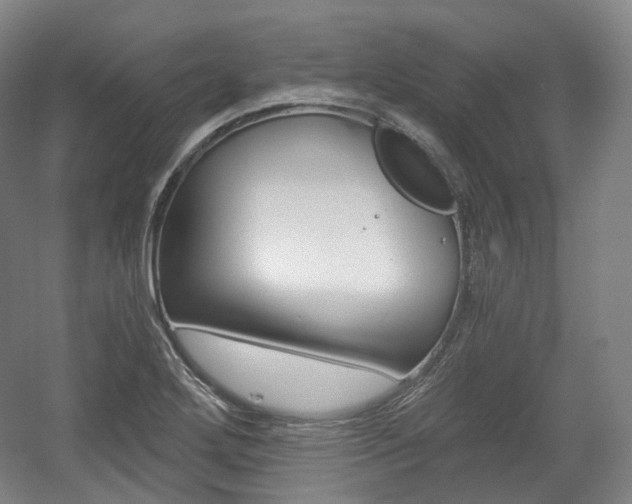X0000056031272200508190943