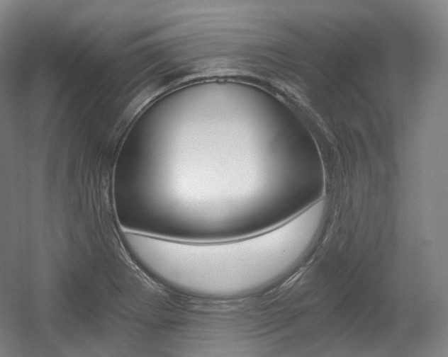X0000056031273200508190943