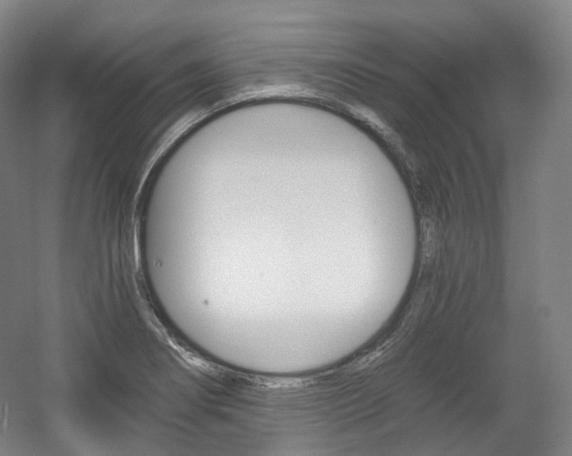 X0000056031274200508190943