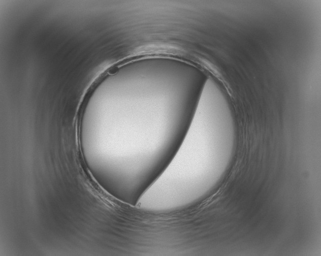 X0000056031275200508190943