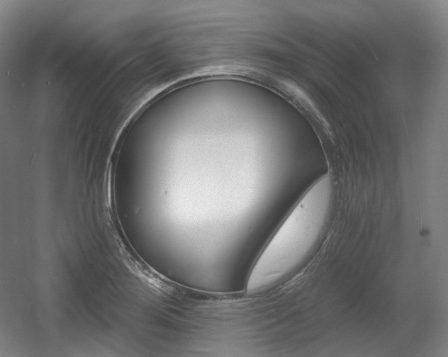 X0000056031276200508190943