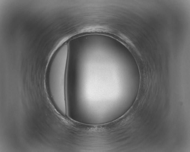 X0000056031277200508190943
