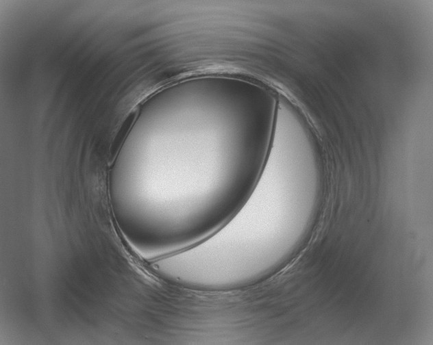 X0000056031281200508190942