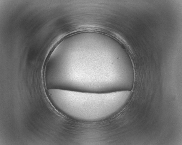 X0000056031283200508190942